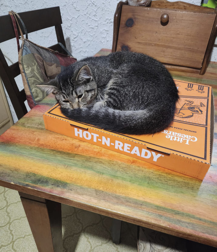 MORE 10H Little Caesars OFFICIAL PIZZA OF