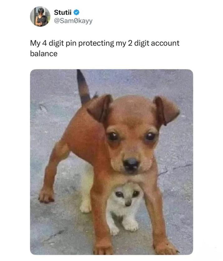 Stutii ✔ @Samokayy My 4 digit pin protecting my 2 digit account balance