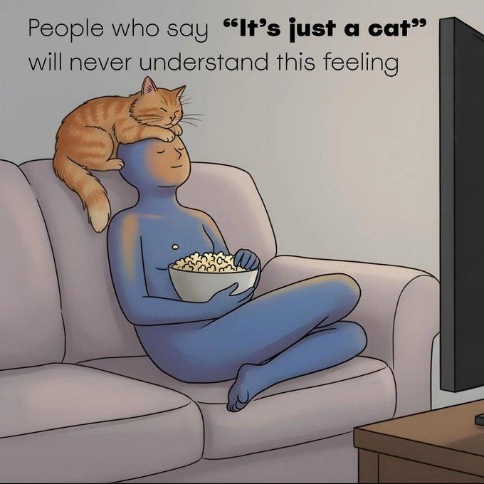 People who say "It's just a cat" will never understand this feeling
