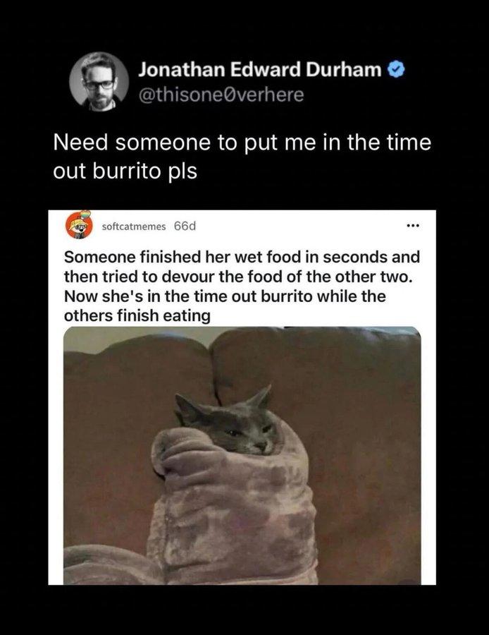 Jonathan Edward Durham ❤ @thisone verhere Need someone to put me in the time out burrito pls softcatmemes 66d Someone finished her wet food in seconds and then tried to devour the food of the other two. Now she's in the time out burrito while the others finish eating
