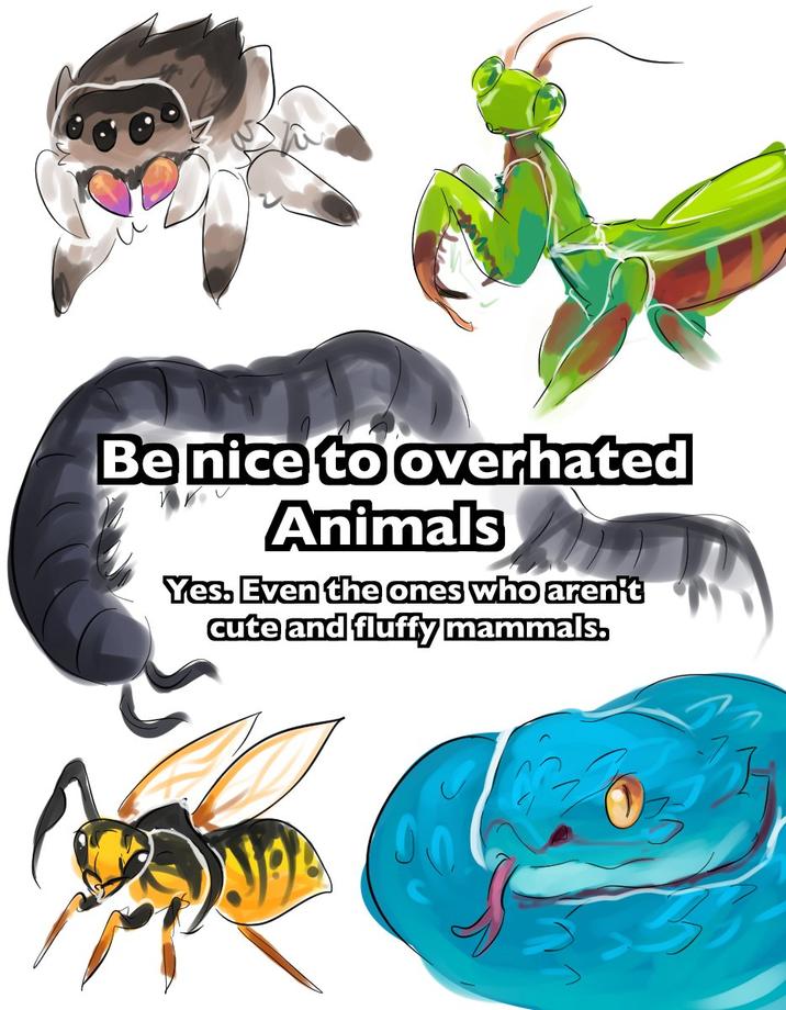 Be nice to overhated Animals Yes. Even the ones who aren't cute and fluffy mammals.
