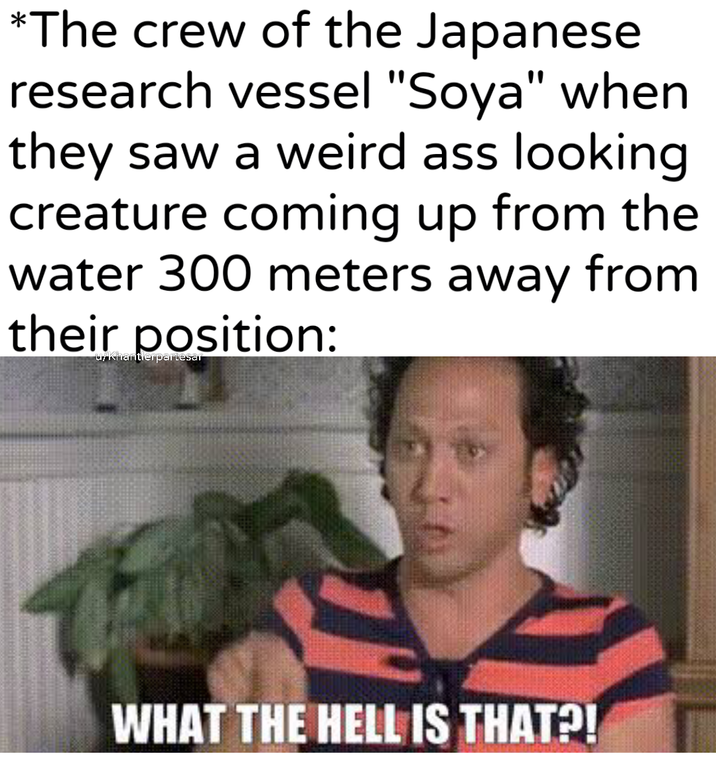 *The crew of the Japanese research vessel "Soya" when they saw a weird ass looking creature coming up from the water 300 meters away from their position: u/Khantlerpartesar WHAT THE HELL IS THAT?!