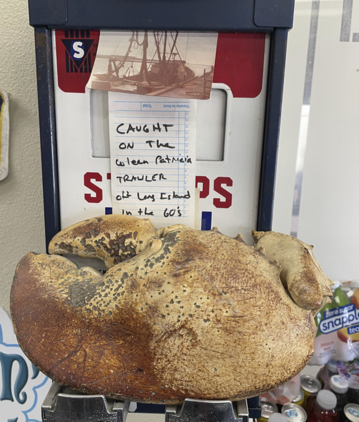 S ви LL 91 S CAUGHT ON The 91 Cleen Patricia TRAULER off Long Island In the 60's PS Zero sugar snappl Peach Beck tea