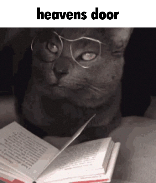 heavens door