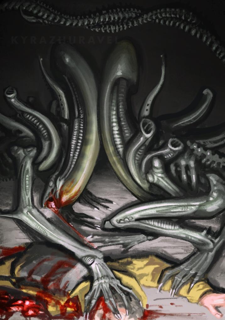 KYRAZHURAVEL