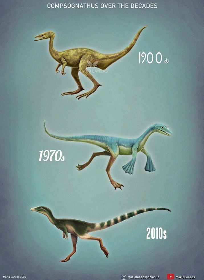 COMPSOGNATHUS OVER THE DECADES 1970s ARO LANZAS 1900 5 2010s Mario Lanzas 2025 mariolanzaspeciosus Mario Lanzas.