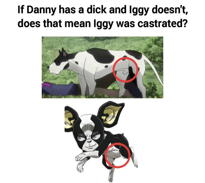 If Danny has a d--- and Iggy doesn't, does that mean Iggy was castrated?