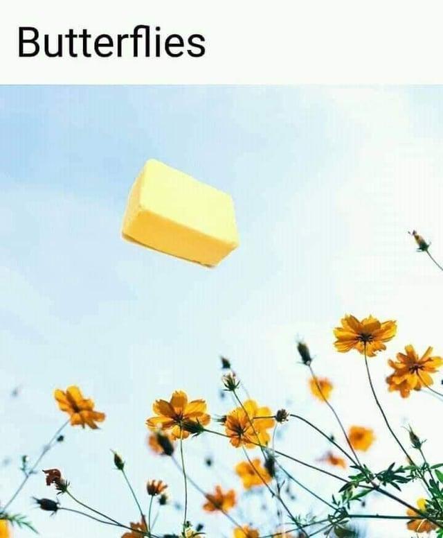 Butterflies