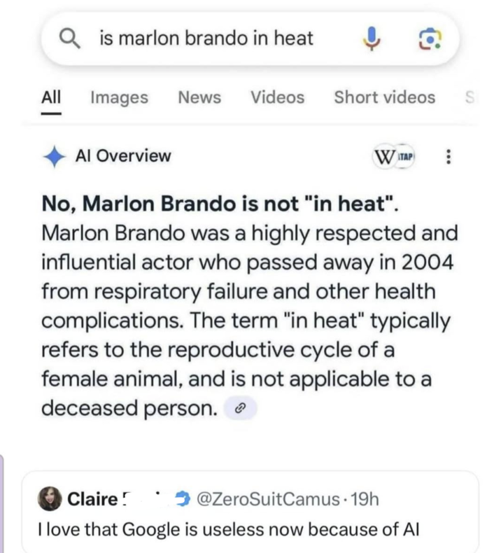 is marlon brando in heat All Images News Videos Short videos S - Al Overview WTAP No, Marlon Brando is not "in heat". Marlon Brando was a highly respected and influential actor who passed away in 2004 from respiratory failure and other health complications. The term "in heat" typically refers to the reproductive cycle of a female animal, and is not applicable to a deceased person. @ZeroSuitCamus. 19h I love that Google is useless now because of Al
