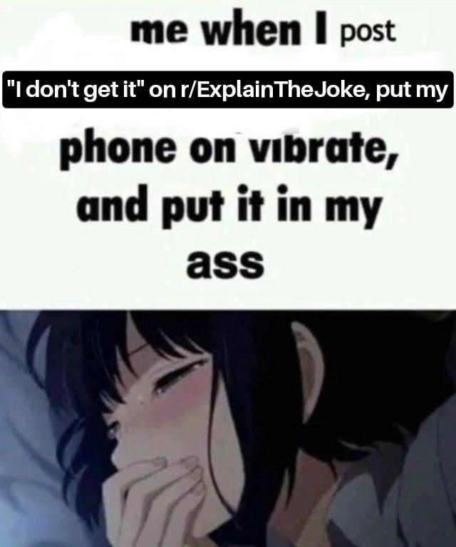 me when I post "I don't get it" on r/Explain The Joke, put my phone on vibrate, and put it in my ass