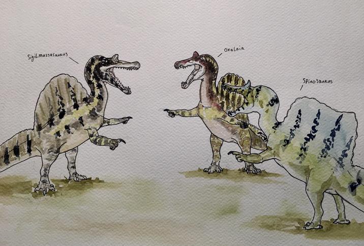 Sigil massasanaus Oxalaia Spinosaurus