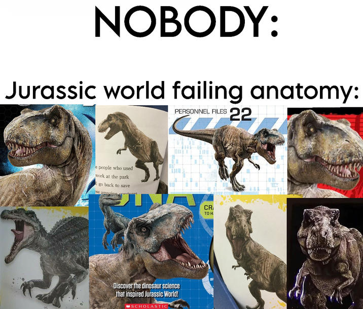 NOBODY: Jurassic world failing anatomy: e people who used work at the park go back to save ese amazing PERSONNEL FILES 22 Discover the dinosaur science that inspired Jurassic World! SCHOLASTIC CR TO H
