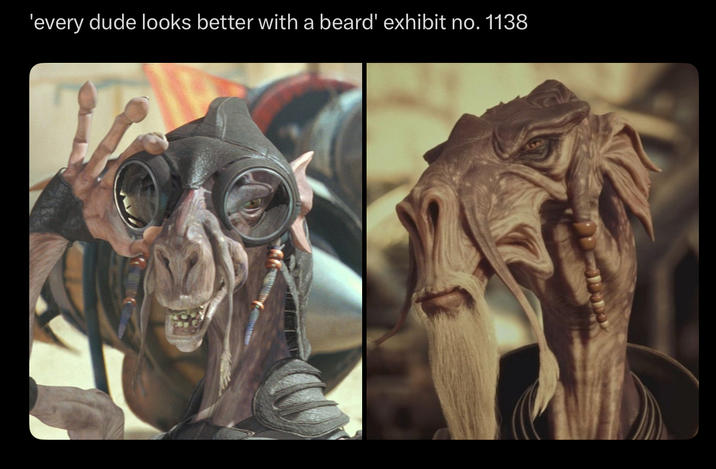 'every dude looks better with a beard' exhibit no. 1138