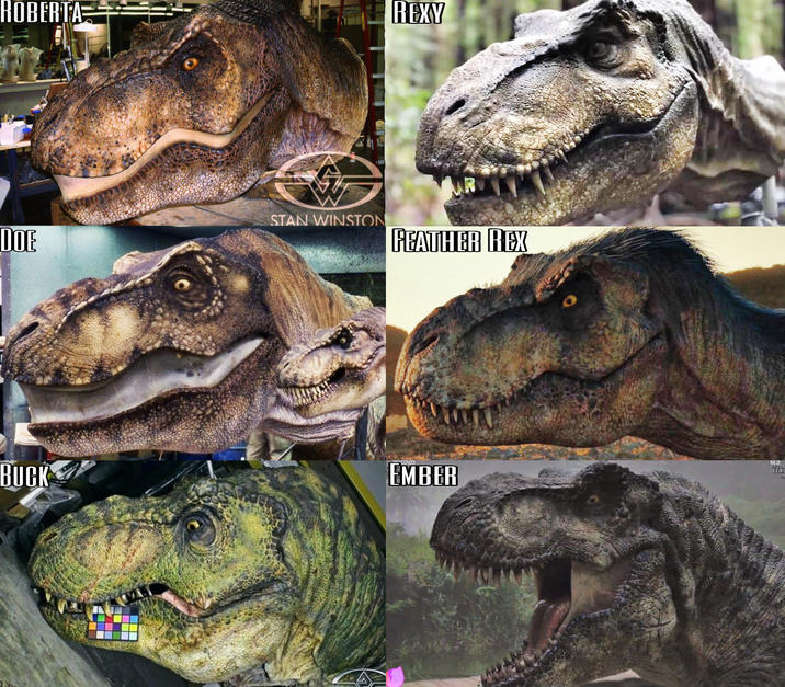 ROBERTA REXY DOE STAN WINSTON FEATHER REX MJI BUCK EMBER