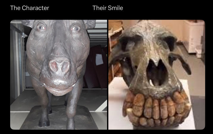 The Character Their Smile