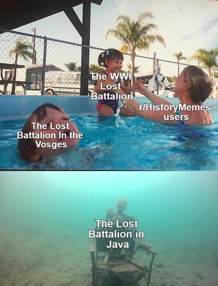 The Lost Battalion In the Vosges The WWI Lost Battalion r/History Memes The Lost Battalion in Java users