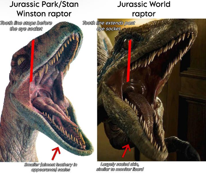 Jurassic Park/Stan Winston raptor Tooth line stops before the eye socket Jurassic World raptor Tooth line extends past eye socket Smaller (almost leathery in appearance) scales Largely scaled skin, similar to monitor lizard