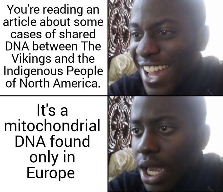 You're reading an article about some cases of shared DNA between The Vikings and the Indigenous People of North America. It's a mitochondrial DNA found only in Europe