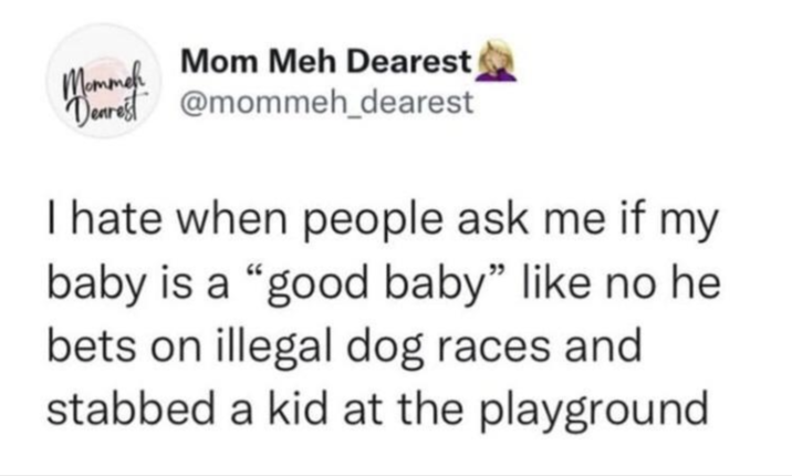 Mommeh Mom Meh Dearest Dearest @mommeh_dearest I hate when people ask me if my baby is a "good baby" like no he bets on illegal dog races and stabbed a kid at the playground