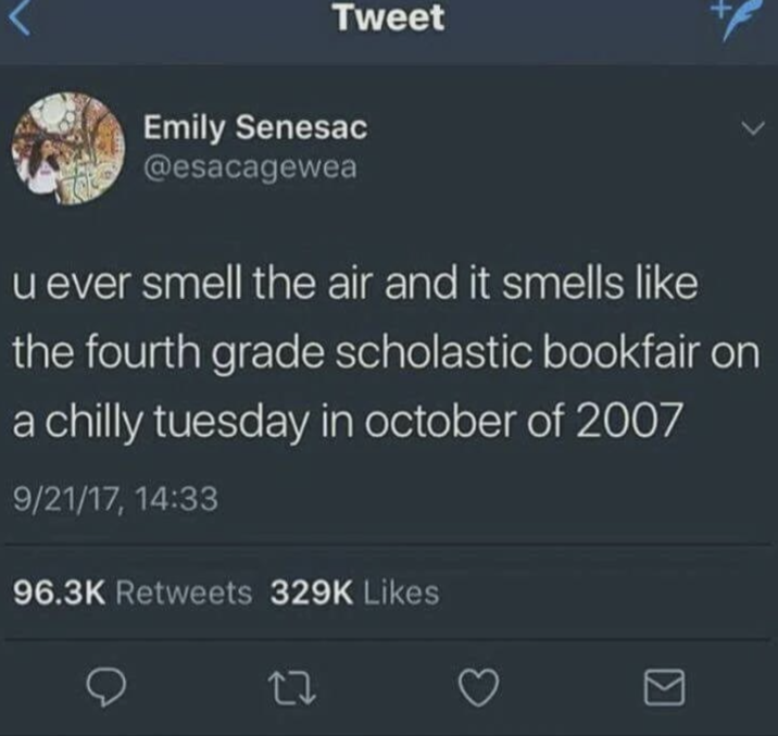 Tweet X Emily Senesac @esacagewea u ever smell the air and it smells like the fourth grade scholastic bookfair on a chilly tuesday in october of 2007 9/21/17, 14:33 96.3K Retweets 329K Likes