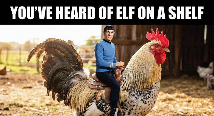 YOU'VE HEARD OF ELF ON A SHELF