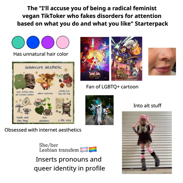 The "I'll accuse you of being a radical feminist vegan TikToker who fakes disorders for attention based on what you do and what you like" Starterpack O Has unnatural hair color Goblincore aesthetic wears thrifted clothes and oversized sweaters admires mushroomS probably loves bugs and frogs hoards small shiny things loves adventures a little crazy Obsessed with internet aesthetics SHE-RA PRINCESSES OF POWER NETFLIX HOUSE Fan of LGBTQ+ cartoon She/her Lesbian transfem Inserts pronouns and queer identity in profile Into alt stuff