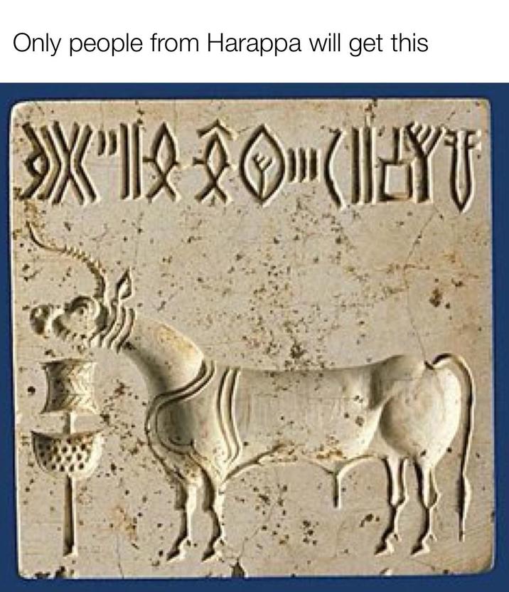 Only people from Harappa will get this XY