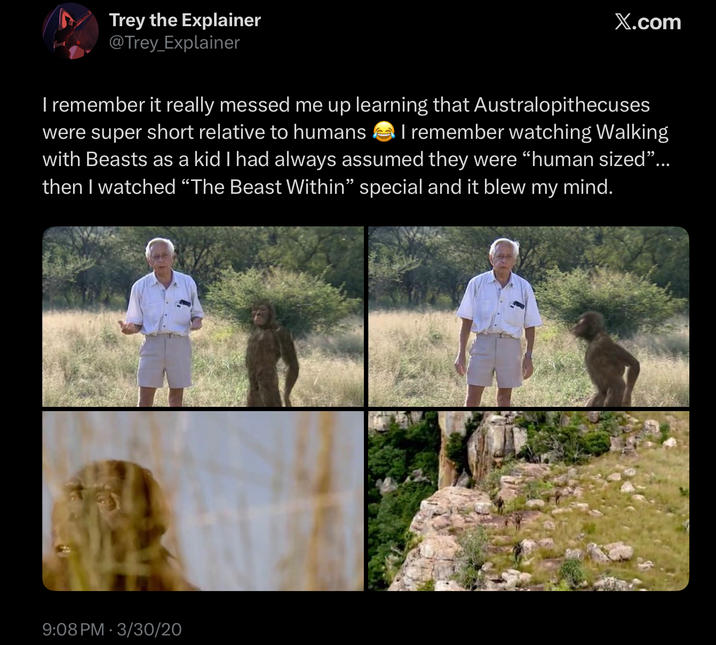 Trey the Explainer @Trey_Explainer X.com I remember it really messed me up learning that Australopithecuses were super short relative to humans I remember watching Walking with Beasts as a kid I had always assumed they were "human sized"... then I watched "The Beast Within” special and it blew my mind. 9:08 PM 3/30/20