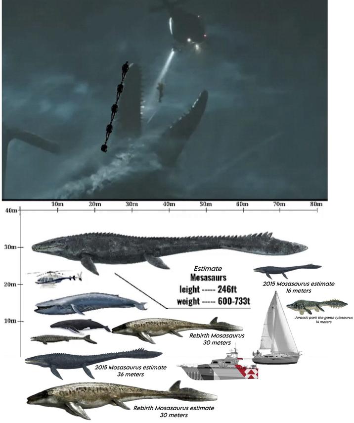 10m 20m 30m 40m 50m 60m 70m 80m 40m- 30m- 20m- 10m 2015 Mosasaurus estimate 36 meters Estimate Mosasaurs leight -246ft weight 600-733t 2015 Mosasaurus estimate 16 meters Rebirth Mosasaurus 30 meters Rebirth Mosasaurus estimate 30 meters Jurassic park the game tylosaurus 14 meters