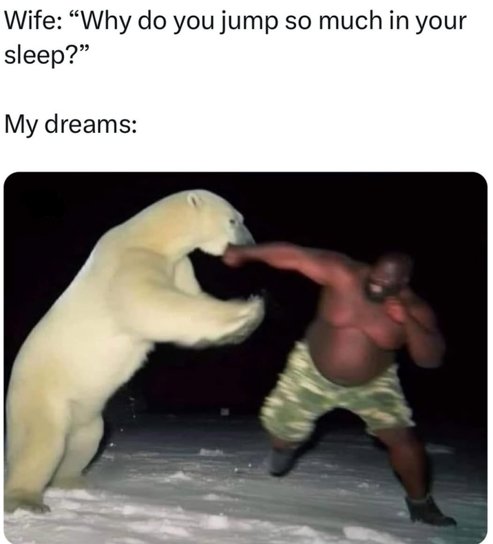 Wife: "Why do you jump so much in your sleep?" My dreams: