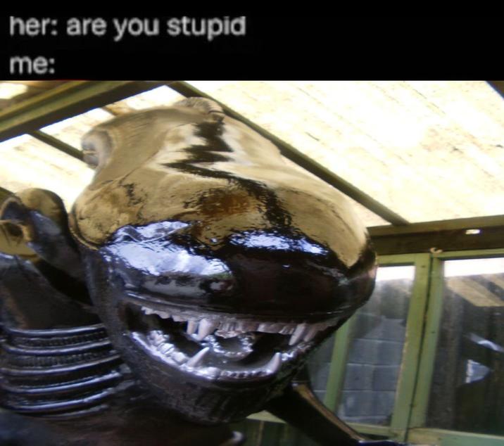 her: are you stupid me: