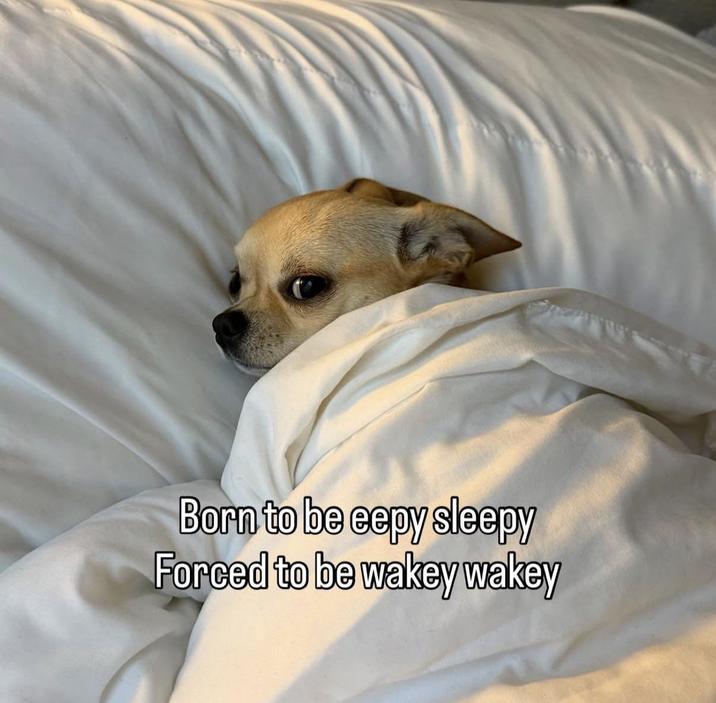 Born to be eepy sleepy Forced to be wakey wakey