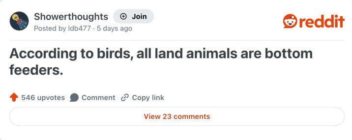 Showerthoughts + Join Posted by Idb477.5 days ago reddit According to birds, all land animals are bottom feeders. 546 upvotes Comment Copy link View 23 comments