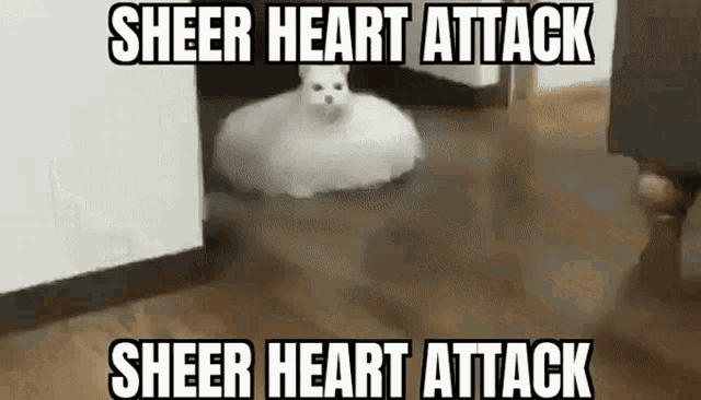 SHEER HEART ATTACK SHEER HEART ATTACK