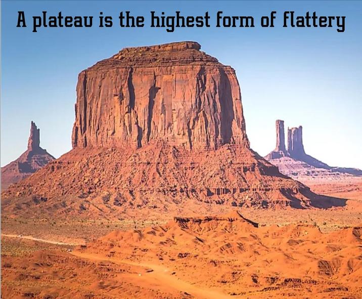 A plateau is the highest form of flattery