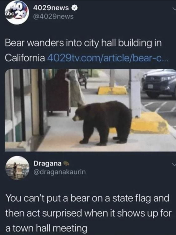 abc 404029news @4029news Bear wanders into city hall building in California 4029tv.com/article/bear-c... Dragana @draganakaurin You can't put a bear on a state flag and then act surprised when it shows up for a town hall meeting