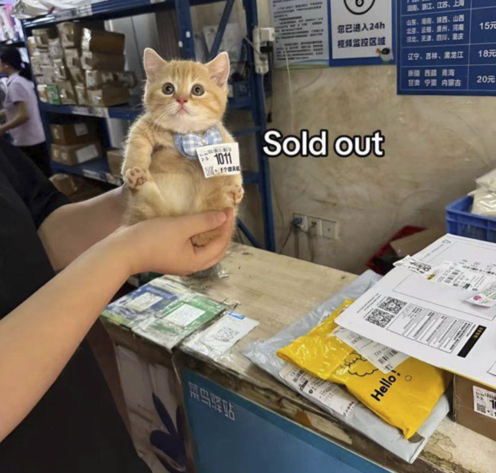 热血驿站 23 1011 121- 鐵路、江苏、上海 您已进入24h 股海监控区域 山东、海南、赞西、山西 北京、云南、贵州、河南 北、北海、四川、重庆、 15元 辽宁、苏琳、江 新疆 西醬、青海 18元 甘樂 宁夏 内服古 20元 Sold out Hello!