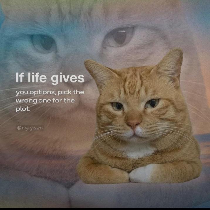 If life gives you options, pick the wrong one for the plot. @ngiyawn