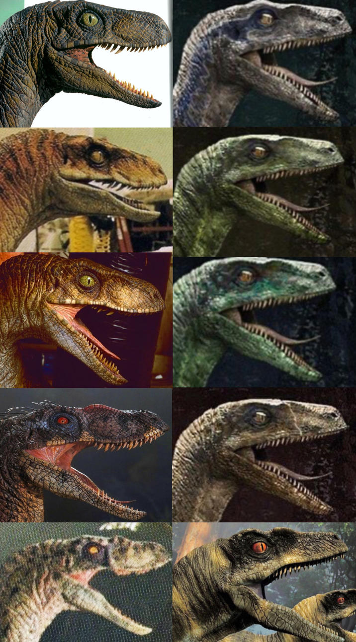 Perplexed Raptor Meme Velociraptor | Jurassic Park | Know Your Meme