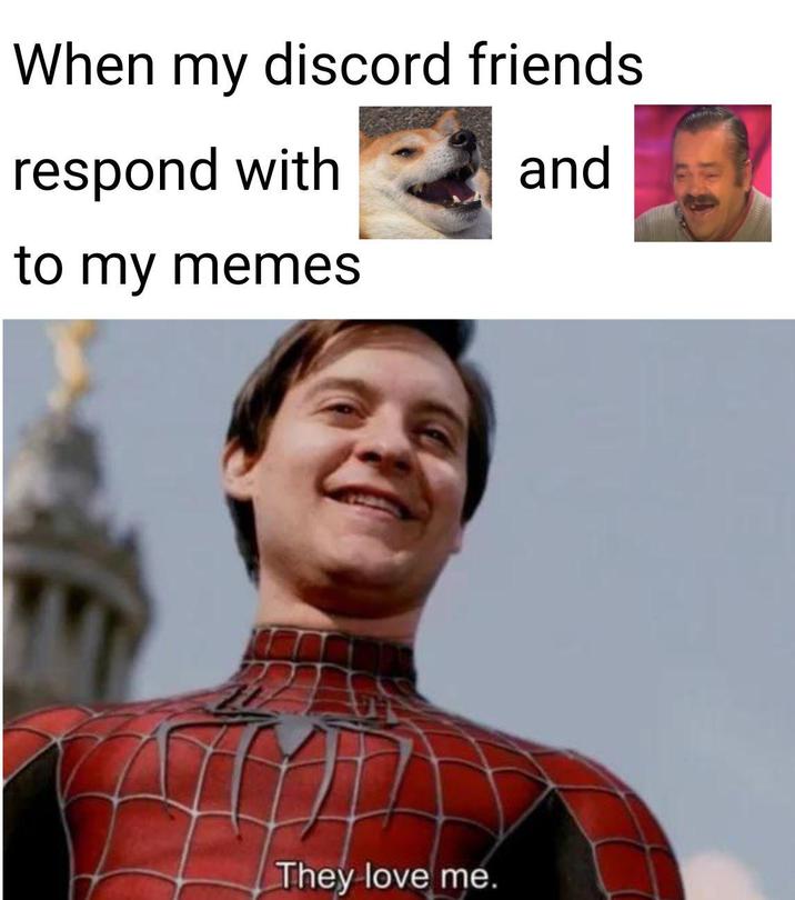 When my discord friends. respond with to my memes They love me. and