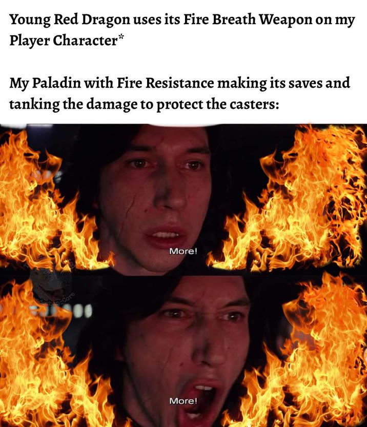 Young Red Dragon uses its Fire Breath Weapon on my Player Character* My Paladin with Fire Resistance making its saves and tanking the damage to protect the casters: More! More!