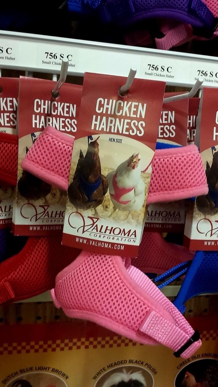 SC en Halter 756 SC Small Chick alter 756 S C Small Chicken Halter 756 S Sp Chicken Ha KEN CHICKEN NES HARNESS SIZE CHICKEN HARNESS ESS AF H KEN HI HEN SIZE AR ALH ORPI ALHO VALHC CORPOR www.VALHOMA. VALHOMA CORPORATION www.VALHOMA.COM ALHOMA ORPORATION VALHOMA.COM DUTCH BLUE LIGHT BROWN HEADED BLACK WHITE A POLISH 313 V www. CRELE OLD ENGLIS
