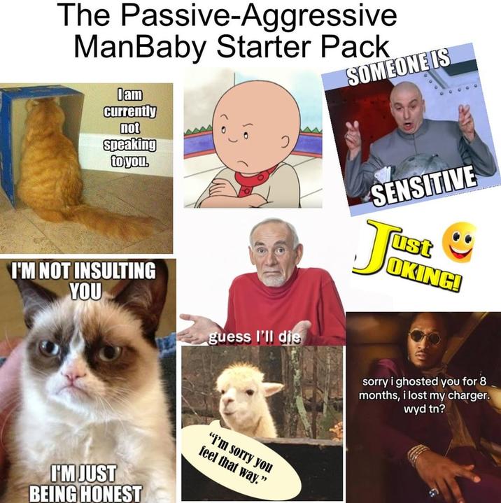 The Passive-Aggressive ManBaby Starter Pack Iam currently not Speaking to you. SOMEONE IS I'M NOT INSULTING YOU guess I'll die I'M JUST BEING HONEST "I'm sorry you feel that way." SENSITIVE ust Ju OKING! sorry i ghosted you for 8 months, i lost my charger. wyd tn?