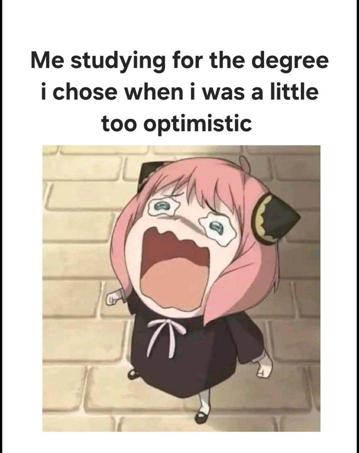 Me studying for the degree i chose when i was a little too optimistic
