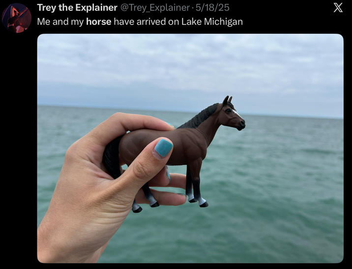 Trey the Explainer @Trey_Explainer • 5/18/25 Me and my horse have arrived on Lake Michigan X