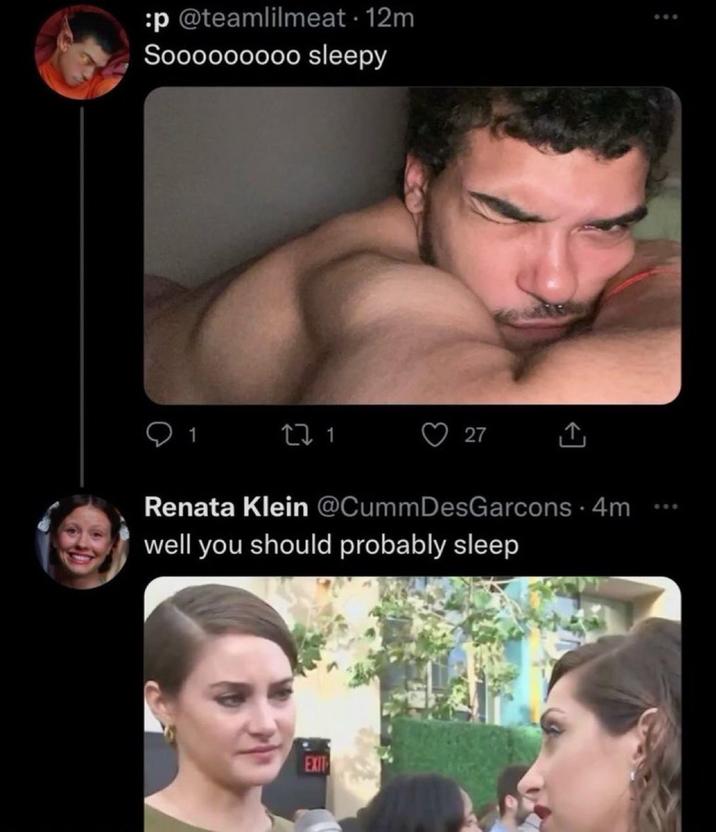 A version of the Shailene Woodley meme. She says, "well you should probably sleep."