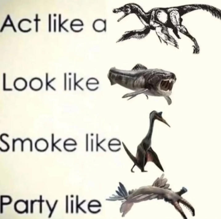 Act like a Look like Smoke like Party like