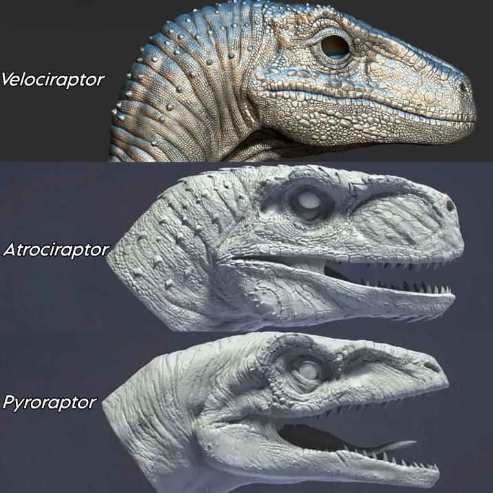 Velociraptor Atrociraptor Pyroraptor