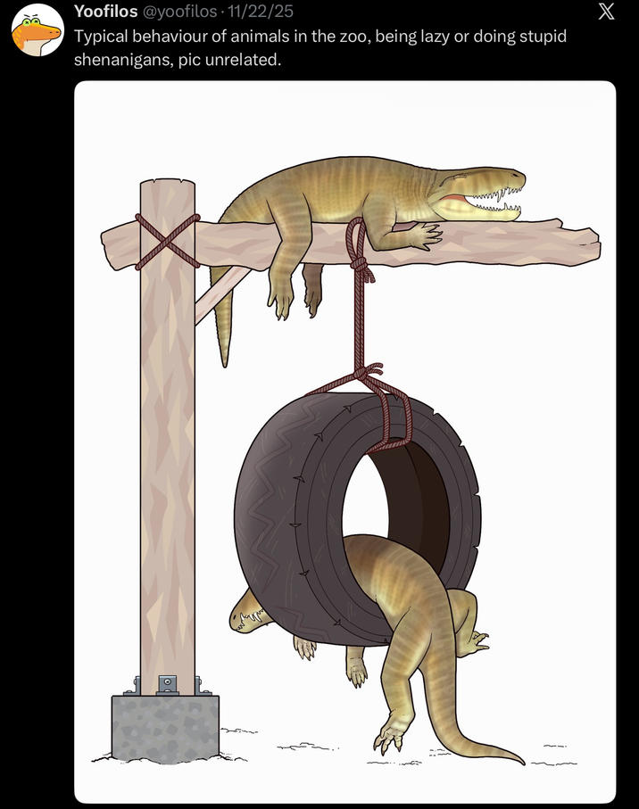 Yoofilos @yoofilos - 11/22/25 Typical behaviour of animals in the zoo, being lazy or doing stupid shenanigans, pic unrelated. wwwyprow X