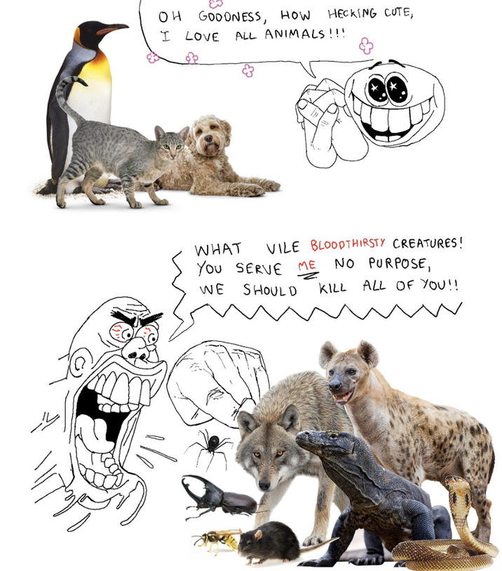 OH GOODNESS, HOW HECKING CUTE, I LOVE ALL ANIMALS!!! WHAT VILE BLOODTHIRSTY CREATURES! YOU SERVE WE ME NO PURPOSE, SHOULD KILL ALL OF YOU!!